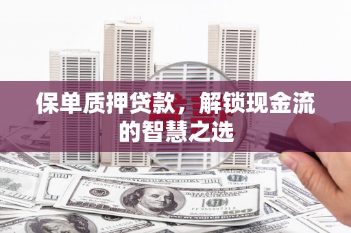 潍城保单质押贷款，解锁现金流的智慧之选