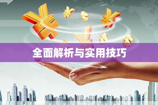 潍城全面解析与实用技巧