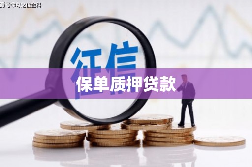 潍城保单质押贷款