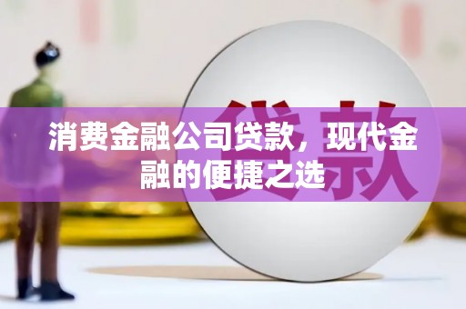 潍城消费金融公司贷款，现代金融的便捷之选