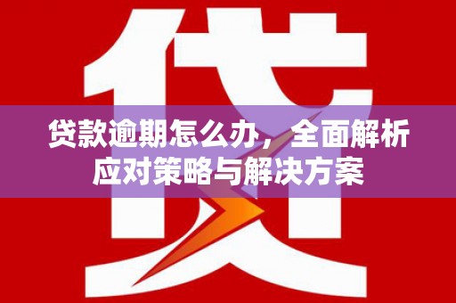 潍城贷款逾期怎么办，全面解析应对策略与解决方案