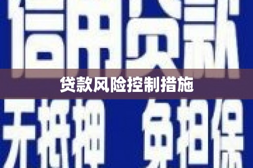 潍城贷款风险控制措施