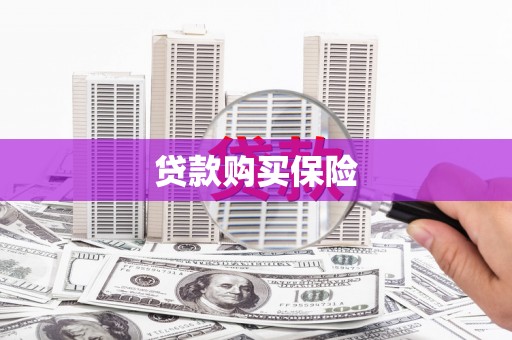 潍城贷款购买保险