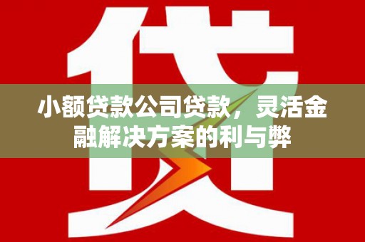 潍城小额贷款公司贷款，灵活金融解决方案的利与弊