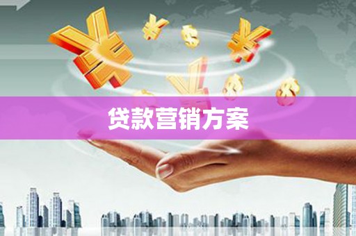 潍城贷款营销方案