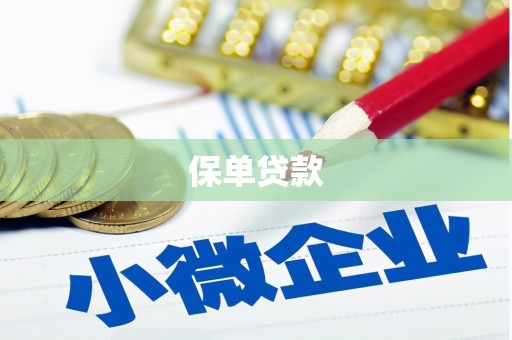 潍城保单贷款